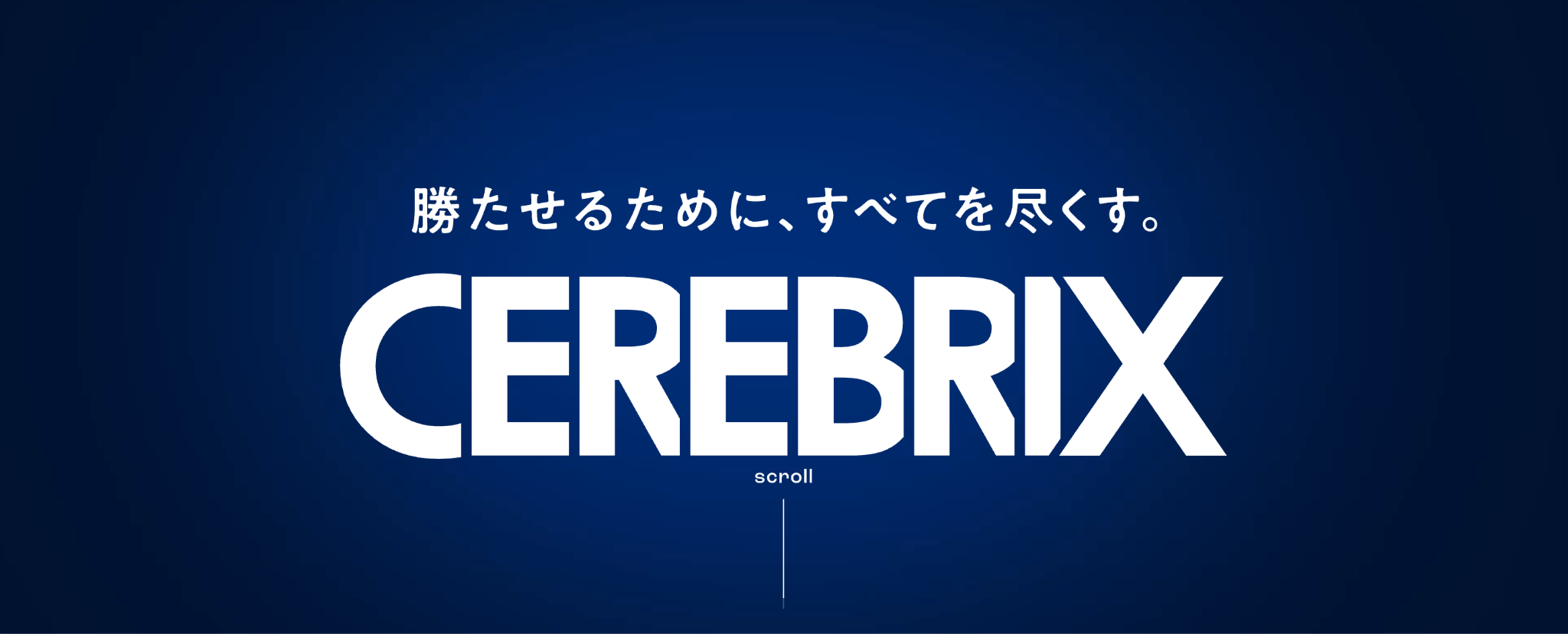株式会社セレブリックス