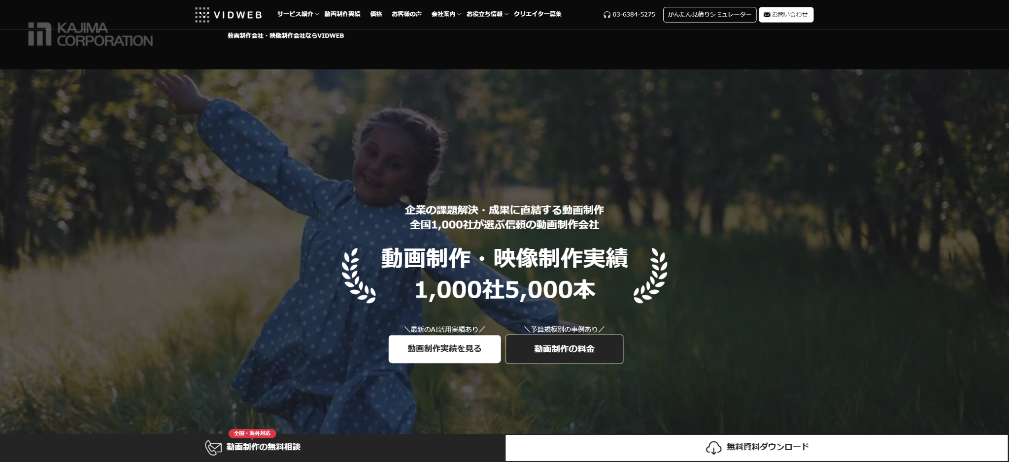 株式会社VIDWEB